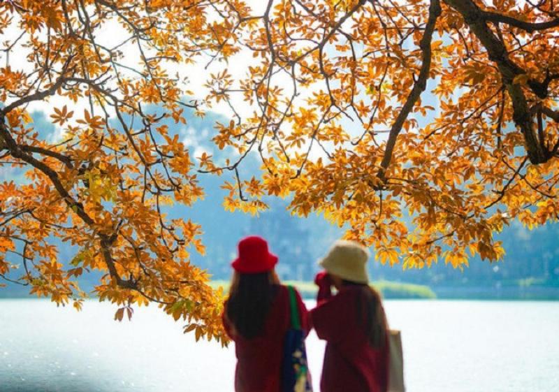 Thời tiết mùa Xuân tại La Khê, Hà Đông, Hà Nội với đặc trưng nồm ẩm, cây cối xanh tươi sau cơn mưa phùn.